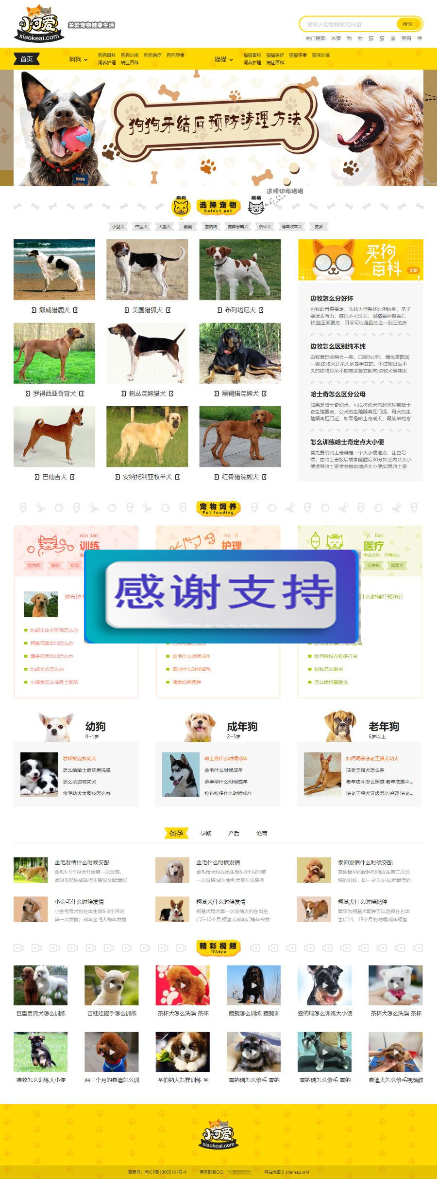 帝国CMS内核仿《小可爱宠物网》宠物资讯平台网站源码完整版+火车头采集+手机版|源码下载|精品资源|果果网|百度云盘下载