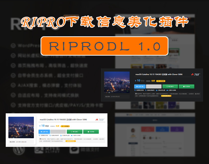 C093 WordPress主题|ripro美化子主题|全站美化子主题|精品资源|果果网