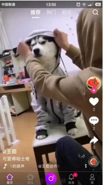 【云豹二开】2021年最新云豹二开完整源码/直播/短视频/带教程/带开发文档|精品资源|果果网