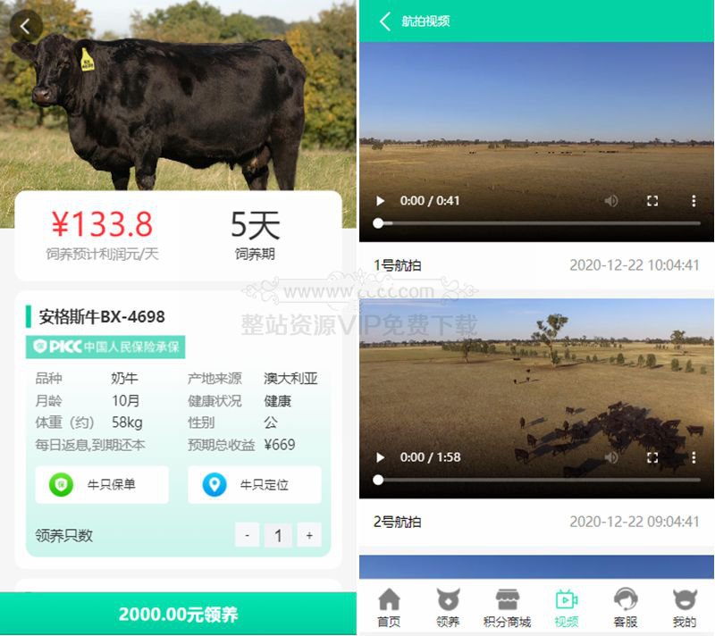 亲测牧场养牛系统带积分商城+大转盘抽奖系统+会员特权|精品资源|果果网