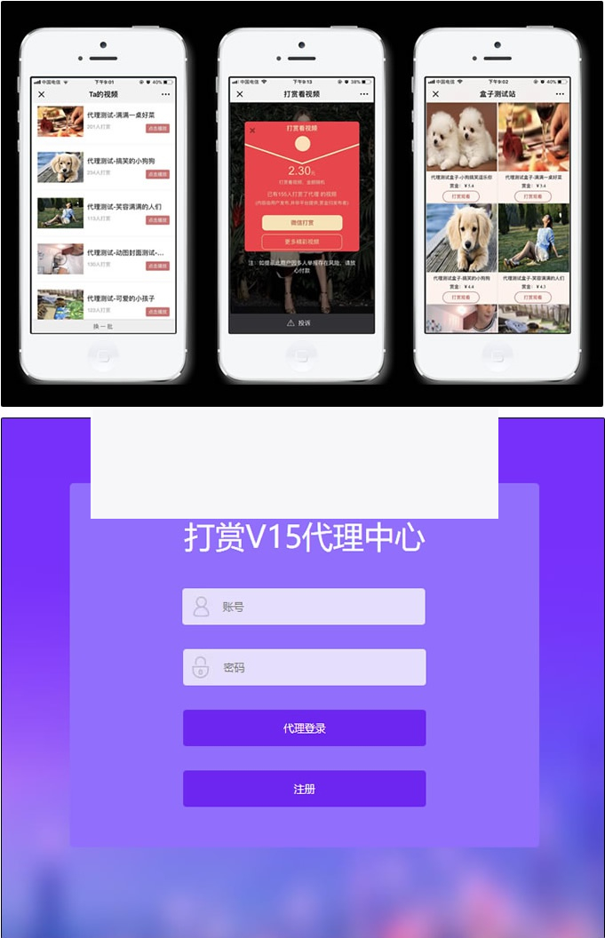 DS正版视频打赏系统V15+代理商功能+试看功能+多种免签支付接口+防封功能|精品资源|果果网