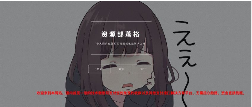 据说价值4K的第三方支付平台源码商业支付源码-ss|精品资源|果果网