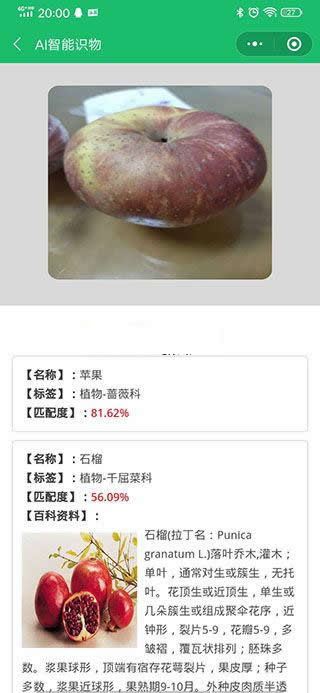 AI智能识物小程序 v1.2.1|精品资源|果果网