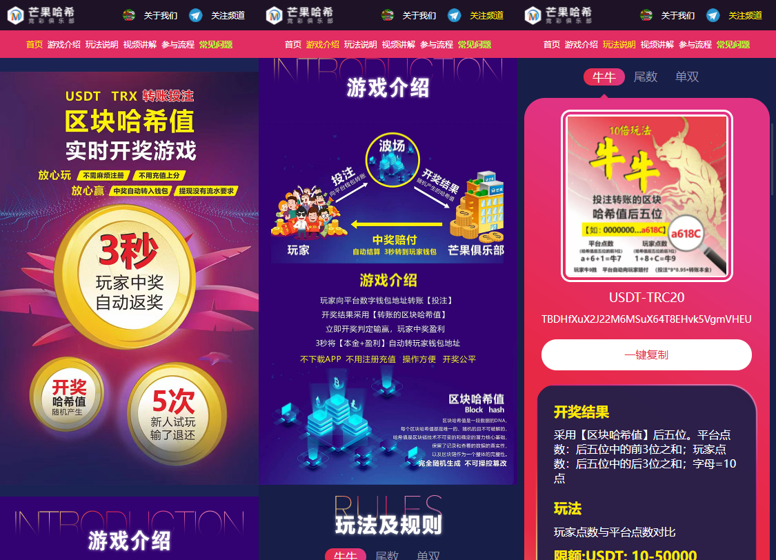 网站源码,哈希值竞猜源码纯合约的返奖辛运哈希源码|精品资源|果果网