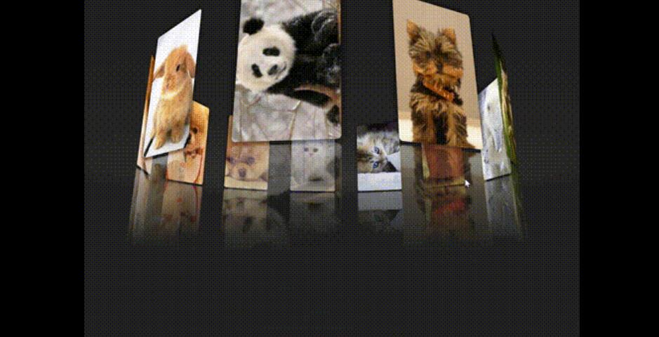 网站源码, 表白html页520实现3D动态相册，换成女朋友照片|精品资源|果果网