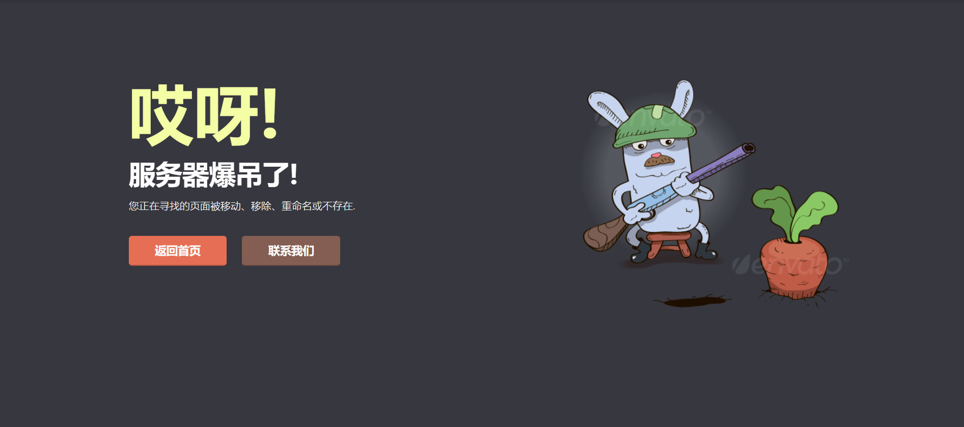 守萝卜的兔子404错误页面源码|精品资源|果果网