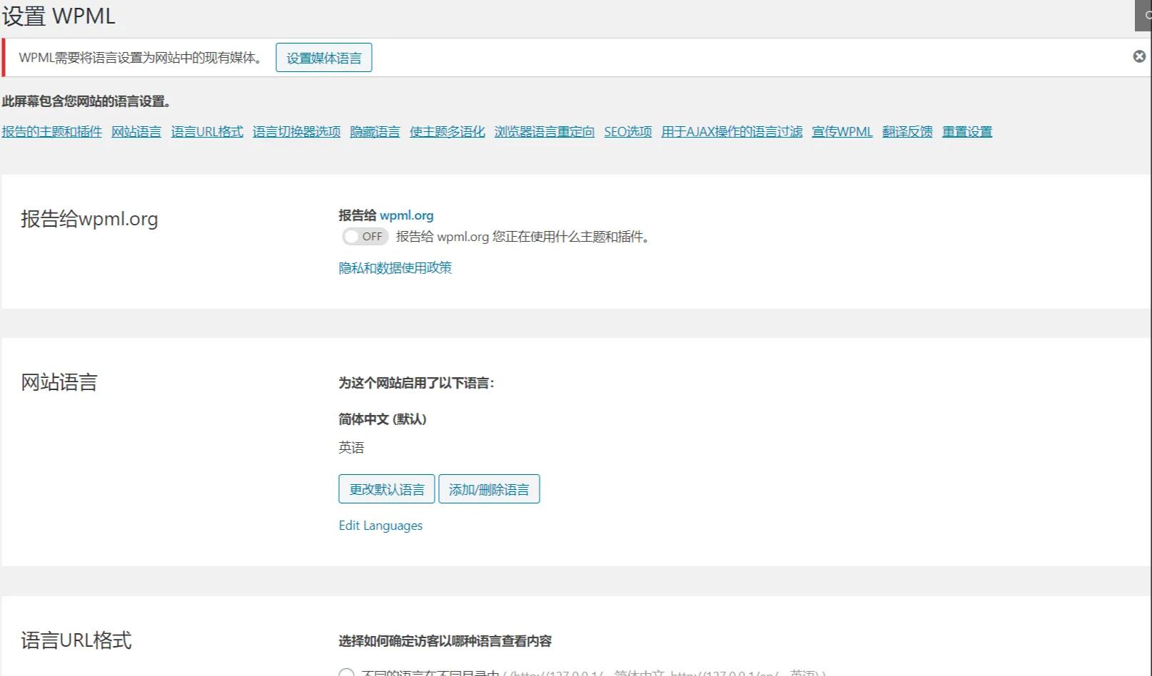 WPML Multilingual CMS 4.6.5汉化中文版合集|WordPress多国语言网页自动翻译插件|精品资源|果果网