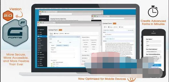 Gravity Forms 2.4.22.1汉化中文破解版|WordPress自定义高级表单插件|精品资源|果果网