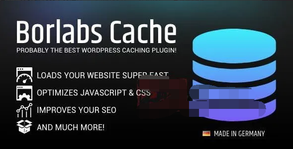 Borlabs Cache 1.6.3完美汉化中文破解版|WordPress轻量多功能缓存加速插件|精品资源|果果网|百度云盘下载
