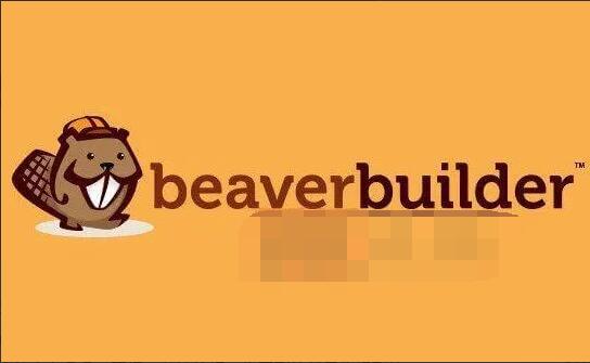 Beaver Builder Plugin Professional 2.4.2.2完美汉化中文破解版|页面自定义生成器WordPress插件|精品资源|果果网