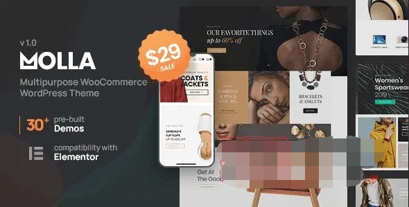 Molla 1.3.3汉化中文版|多功能电子商务WooCommerce WordPress主题模板|精品资源|果果网