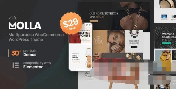 Molla 1.4.1汉化中文版|多功能电子商务WooCommerce WordPress主题模板|精品资源|果果网