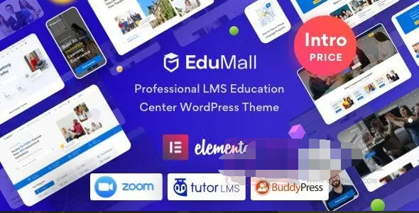 EduMall 3.4.7汉化中文专业版|LMS教育培训中心WordPress企业主题模板|精品资源|果果网