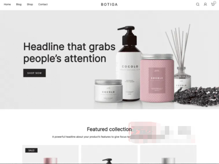Botiga Pro 1.1.3汉化中文版|轻量快速高可定制WooCommerce电商主题|精品资源|果果网