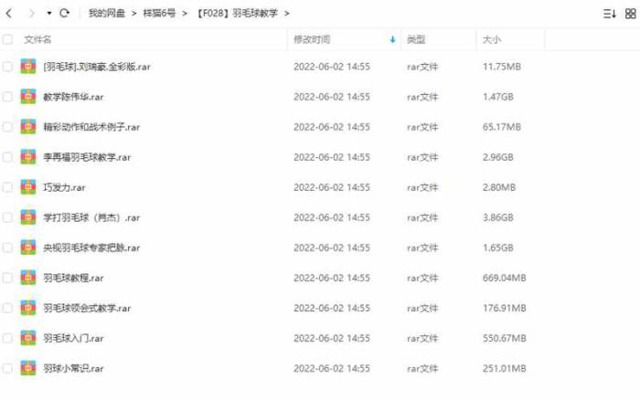 羽毛球教学-羽毛球系列教程视频合集[MKV/RM/SWF/MP4/11.39GB]百度云网盘下载|精品资源|果果网