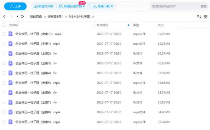 《杜子建创业传记》[全10集合集][MP4/FLV/305.02MB]百度云网盘下载|精品资源|果果网