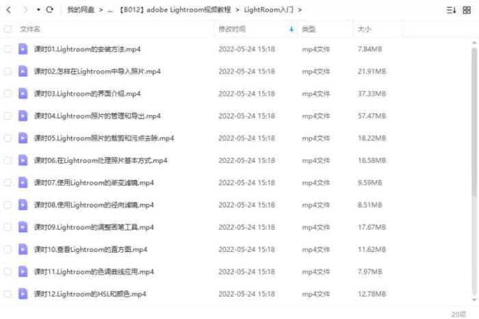 [LR教程][Lightroom入门教程视频20课合集][MP4/325.43MB]百度云网盘下载|精品资源|果果网|百度云盘下载